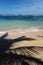 Coconut palms shade on the beach