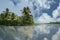 Coconut palms on the shore of the lake. Kerala, South India