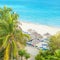 Coconut palms and thatched umbrellas in a cuban beach