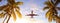 Coconut palms tree and airplane at sunset. Passenger plane above tropical island.