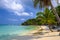 Coconut palms on tropical Haad Yao beach, Koh Phangan island, Su