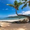 Coconut palms on tropical sanny beach and turquoise sea