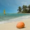 Coconut on paradise beach