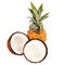 Coconut and pineapple isolated