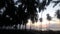 Coconut plantation Sun rise from sea Sun rise from sea