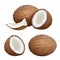 Coconut realistic. Tropical closeup nature fruit from fresh palm vector coconut milk pictures