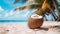 Coconut On Sandy Beach: Turquoise And White Palm Tree Scene