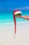 Coconut with Santa hat in male hands against the turquoise sea