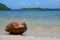 A coconut on the sea shore and a tropical islet French Polynesia