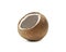 Coconut shell