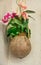 Coconut shell flower pot with artificial pink and red orchids hanging on the wall, outdoors, decoration, patio
