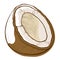 Coconut shell icon, open brown exotic nut