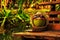 Coconut with straw hat and bright sunglasses stand on the bench in warm tone