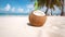 coconut with straw on perfect beach. Generative Ai