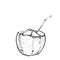 Coconut with a straw sketch, black contour isolated on white background. simple art, Can be used for Card banner template, copy