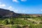 Coconut and sugar canne plantation near Calheta Sao Miguel in Santiago Island in Cape Verde - Cabo Verde