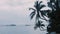 Coconut tree against a sky and a seascape captured at a beach