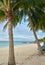 Coconut tree on the beach, Lipe island