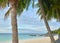 Coconut tree on the beach, Lipe island