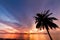 Coconut tree with beautiful sunset with sea and islands background