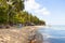 Coconut tree at coconut beach on Son island, Kien Giang, Vietnam. Near Phu Quoc island.