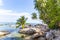 Coconut tree at coconut beach on Son island, Kien Giang, Vietnam. Near Phu Quoc island