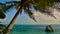 Coconut tree on famous beach Anse Source d\\\'Argent, La Digue, Seychelles with granite rock in turquoise colored water.