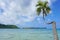 Coconut tree leaning over lagoon French Polynesia