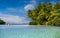 Coconut tree on One Foot Island