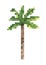 Coconut tree pixel art vector, isolated natural plant on white