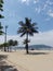 COCONUT TREE ON SANTOS BEACH