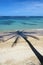 Coconut tree shade on a sandy beach