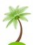 Coconut tree simple isolated on white, illustration coconut palm tree, coconut tree for clip art, palm tree on small hill island