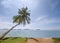 Coconut tree slope above sea with cloudy blue sky and islands background in bright sunny day