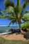 Coconut tree with small sandy beach and ocean in the background