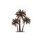 coconut tree vector design that defines comfort