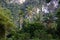 Coconut trees against green surroundings with mountain