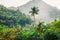 Coconut trees on the background of tropical forest. Mountains on a tropical island in Thailand. Hot sunny day