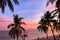 Coconut trees on the beach in alona panglao bohol philippines when sunset