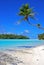 Coconut Trees on a Beach at One Foot Island, Aitutaki Cook Islands