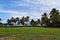 Coconut Trees on the Black Point National Park, St. Vincent and the Grenadines