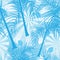 Coconut trees blue color seamless pattern