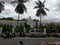 Coconut trees, Hospital Building, scenery, Background, cloudy climate, Nature,