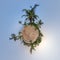 coconut trees in jungle in Indian tropic village on sea shore on little planet in blue sky, transformation of spherical 360