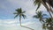 Coconut trees at Lamai Beach, Koh Samui, Thailand. After Covid had no tourists