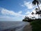 Coconut Trees line Kahala Beach