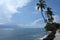 Coconut trees line sidewalk along rocky shore