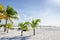 Coconut trees next to the beach