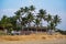 coconut trees on ocean coast near tropical shack or open cafe on beach with sunbeds