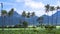 Coconut trees in organic corn field with many green plants and large mountains in blue sky